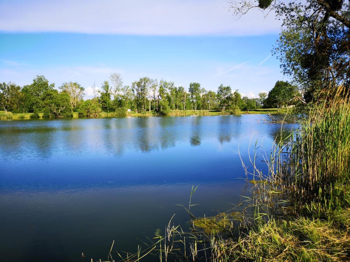 Gîte à la campagne - Etat Nature Magnieres Esterno foto